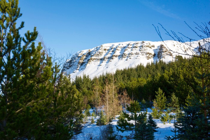 Hikes near Reykjavik, Úlfarsfell, Iceland 