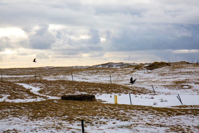 Thorlakshofn, Iceland