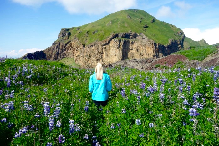 Westman Islands, Iceland