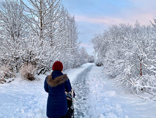 Iceland winter